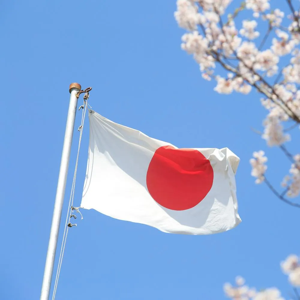 Larry Assisted a Japanese Company in Optimizing its Trilingual Agreements with C