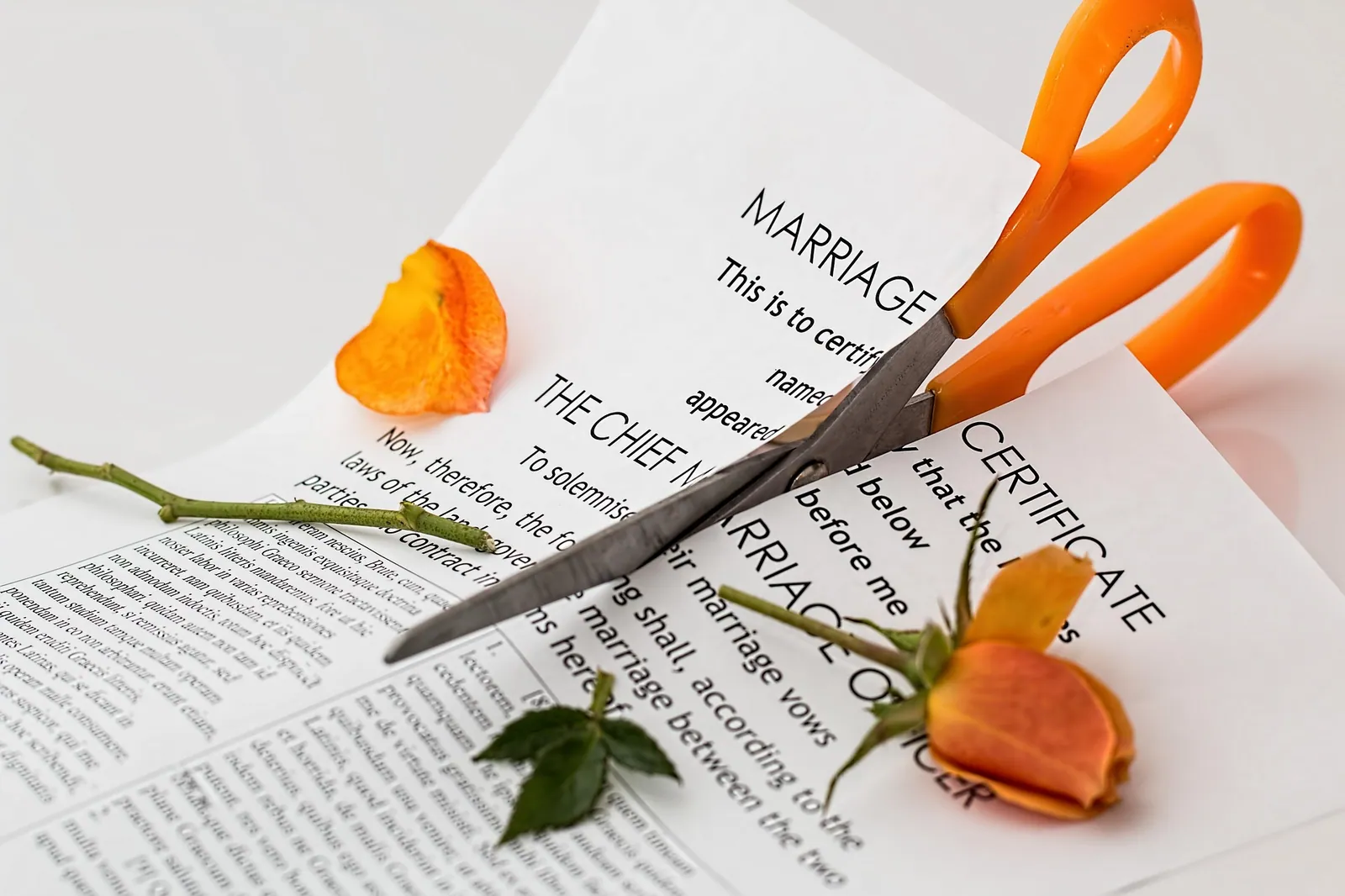 Attorneys Larry and Jeremy Successfully Obtain Divorce and Asset Division for Si