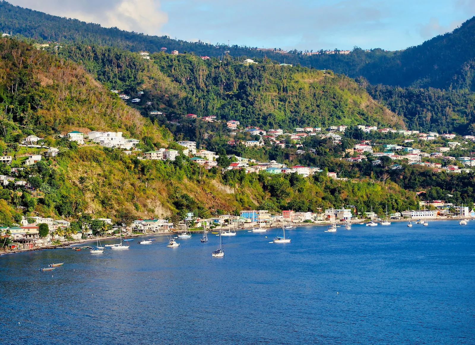 Atty. Jeremy Aids Dominican Client in Settling Dispute with Chinese Shareholder