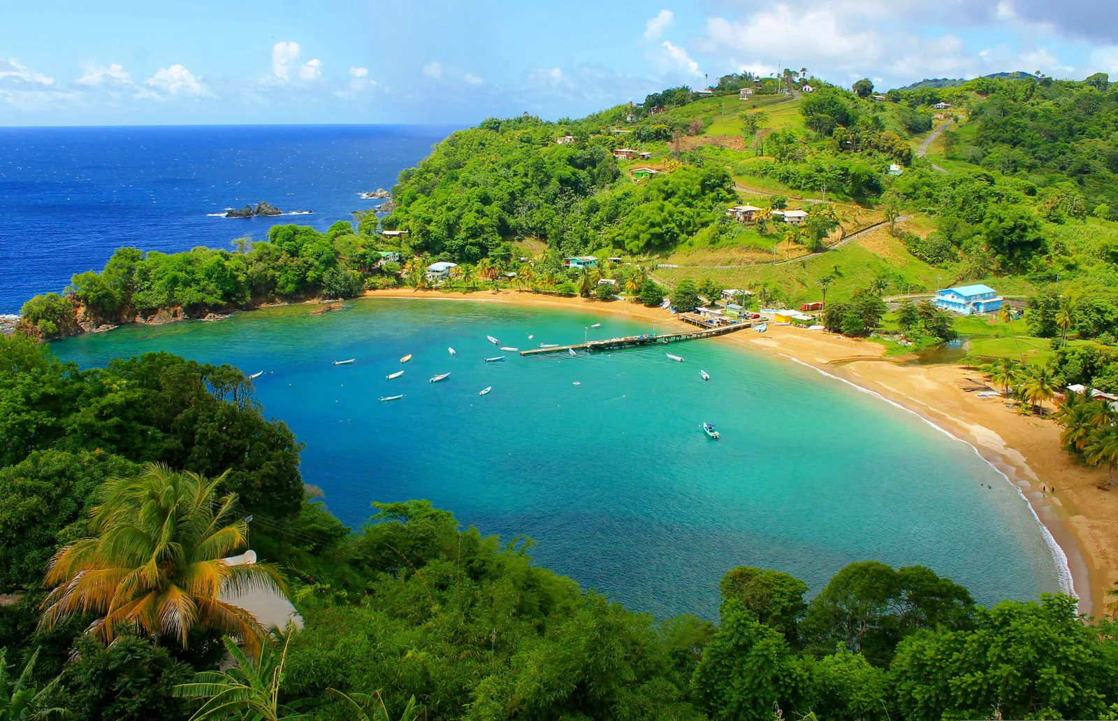 Attorney Jeremy Secures Settlement for Trinidadian Buyer in Equipment Dispute wi