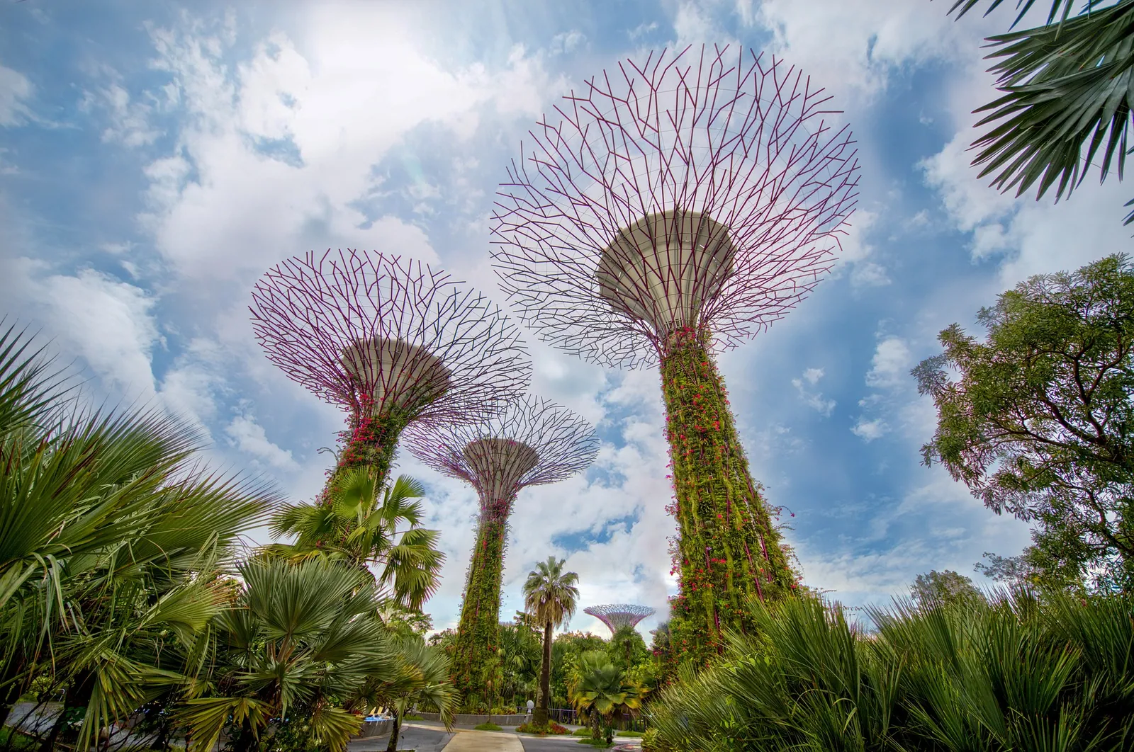 Attorneys Larry and Jeremy Help Singapore Client Resolve Dispute with Zhejiang C