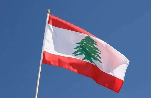 Attorney Abby Wang and Larry Zhou Represented a Lebanese Client to Get Refund by