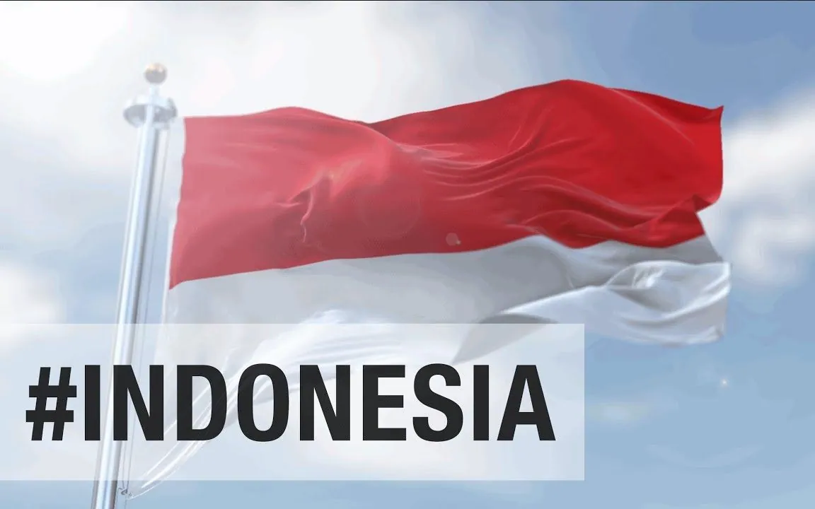 Larry Zhou Successfully Represented an Indonesian Company to Recover Payment fro