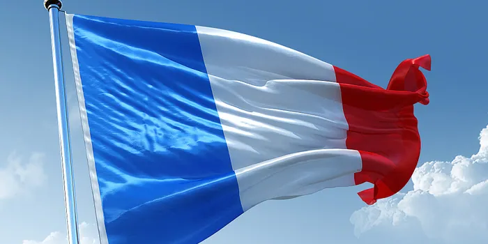 Goods Being Withheld Half a Year, Larry Assisted French Buyer to Get Goods Back 